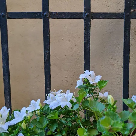 Casa Marconi Bed and breakfast *